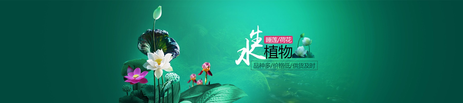花卉培育技术哪里学，很多人第一步就错了